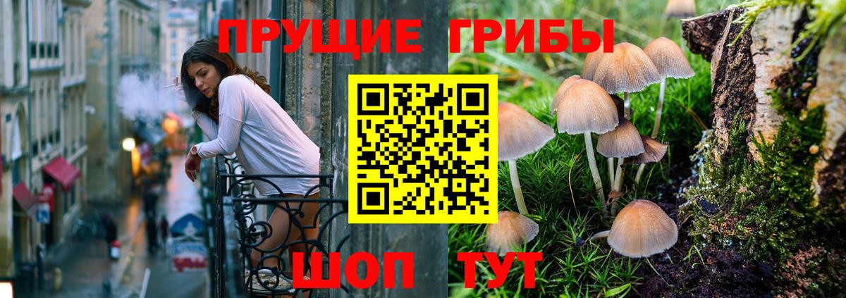 Псилоцибиновые грибы мицелий Новый Уренгой