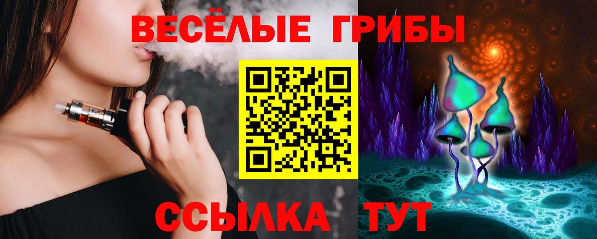 где купить наркоту  Псилоцибиновые грибы Magic Shrooms  Вход с VPN  Новый Уренгой 